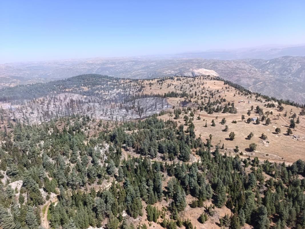 Konya dahil 5 il destek verdi, Ermenek yangını kontrol altında 9